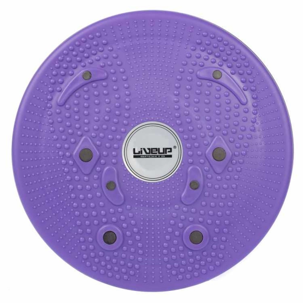 Disco de Equilíbrio Giratório Magnetic Trimmer 25cm - Liveup Sports
