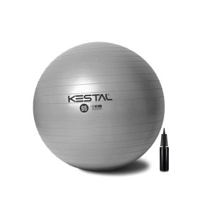 Bola de Ginástica Suíça 65cm - Cinza - Kestal